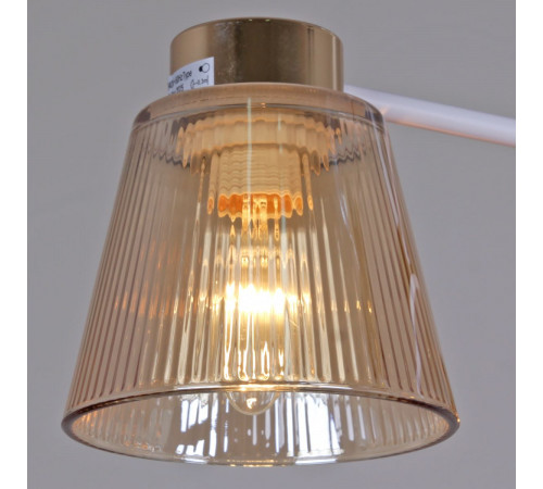 Потолочный светильник Reluce 20560-0.3-02 WH+FG