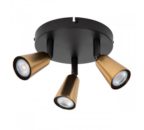 Потолочный светильник Lucide Tiana 65901/13/05