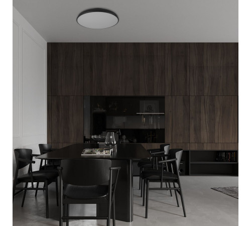 Потолочный светильник Loft IT Dime 10371 Black