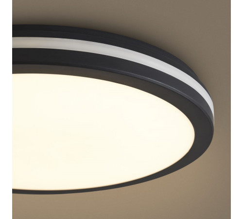 Потолочный светильник Freya Rua FR6160CL-L40B