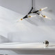 Потолочный светильник Freya Crown FR5213PL-05B