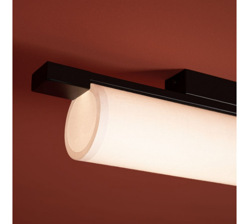 Потолочный светильник Freya Even FR5625CL-L20B