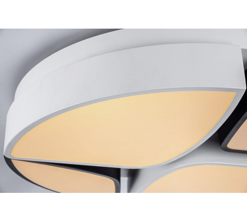 Потолочный светодиодный светильник Escada 10211/4LED