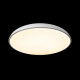 Потолочный светильник Loft IT Dime 10371 White