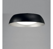 Потолочный светильник Mantra Argenta 4849E