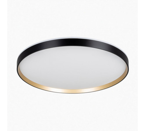 Потолочный светильник Citilux Etalon CL750501R