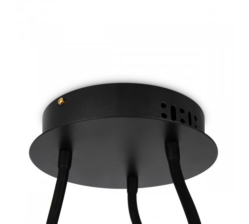 Потолочный светильник Freya Fancy FR6059CL-L35B