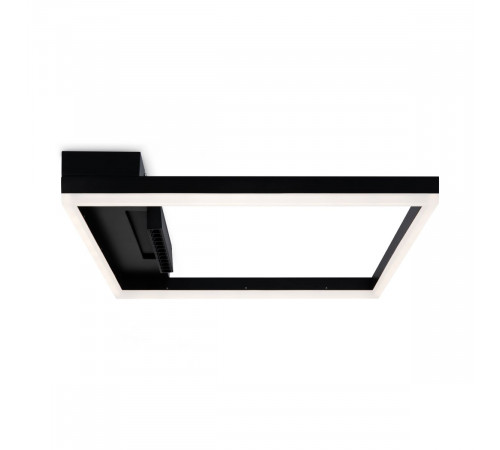 Потолочный светильник Freya Frame FR6084CL-L82B
