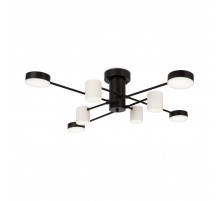 Потолочный светильник Freya Tibo FR6048CL-L8B