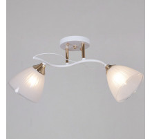 Потолочный светильник Reluce 64460-0.3-02 WH+FG