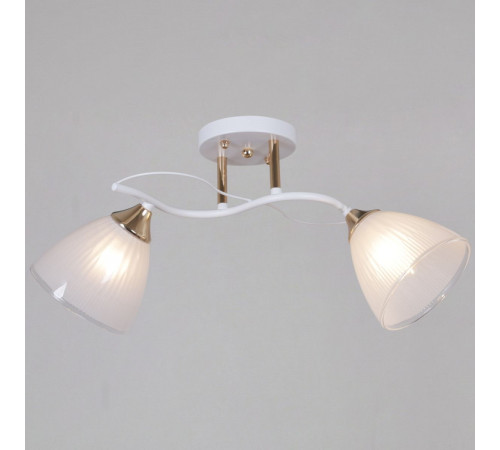 Потолочный светильник Reluce 64460-0.3-02 WH+FG