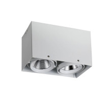 Потолочный светодиодный светильник Favourite Flashled 1986-2U