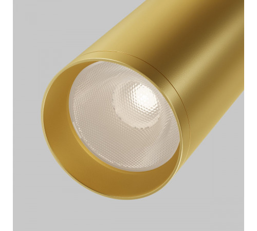 Потолочный светильник Maytoni Technical Focus C017CW-01MG-N