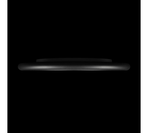 Потолочный светильник  LOFT IT Sweety 10454/500 Black