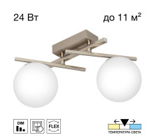 Потолочный светильник Citilux Dorsy CL223121