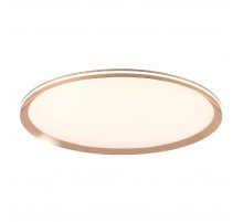 Потолочный светильник LED4U L3020-600 GD