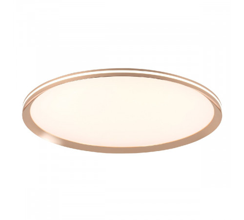 Потолочный светильник LED4U L3020-600 GD