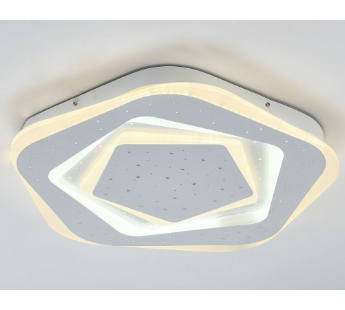 Потолочный светодиодный светильник F-Promo Ledolution 2281-5C
