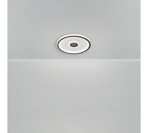 Потолочный светильник Freya Freya Orbit FR5421CL-L80BR