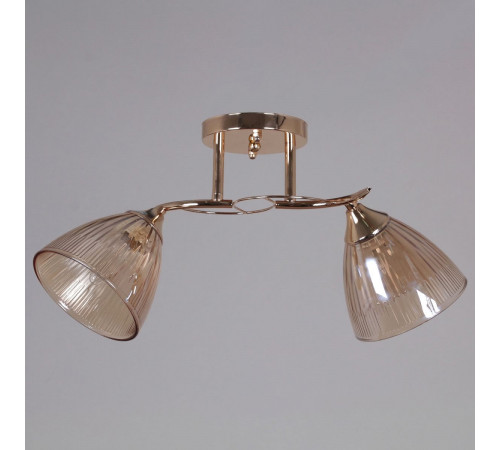 Потолочный светильник Reluce 02560-0.3-02 FG