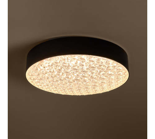 Потолочный светильник Freya Crispia FR6218CL-L90B