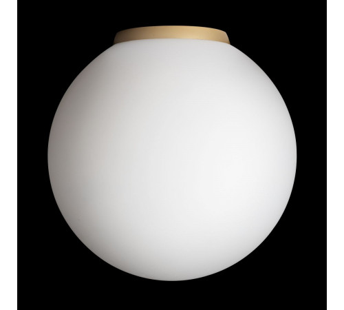 Потолочный светильник Citilux Ron CL941D20B2