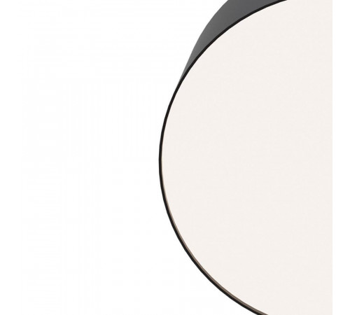 Потолочный светильник Maytoni Zon C032CL-L12B4K