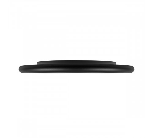 Потолочный светильник  LOFT IT Sweety 10454/500 Black