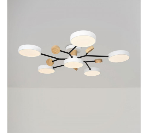 Потолочный светильник Freya Crown FR6119CL-L72W