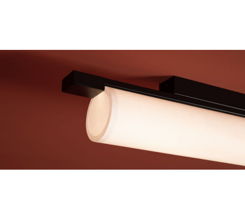 Потолочный светильник Freya Even FR5625CL-L20B