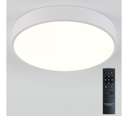 Потолочный светильник Natali Kovaltseva LED LAMPS 81112/5C