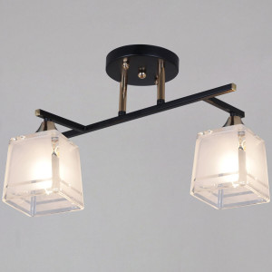 Потолочный светильник Reluce 46460-0.3-02 BK+FG