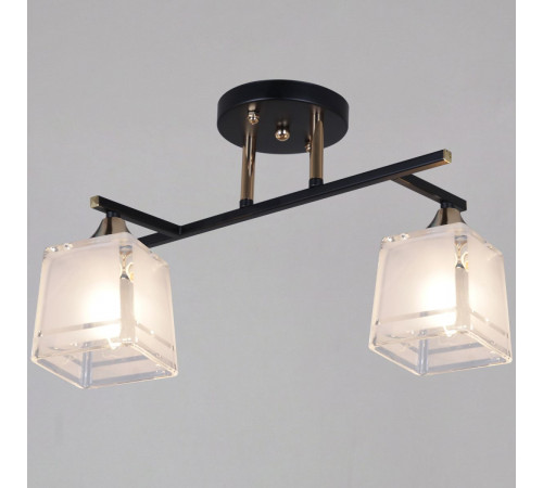 Потолочный светильник Reluce 46460-0.3-02 BK+FG