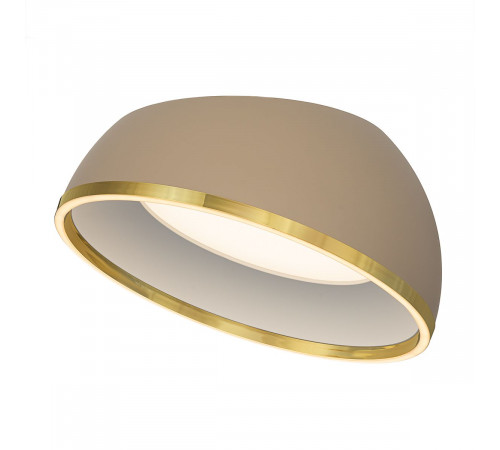 Потолочный светильник Citilux Floom CL736152
