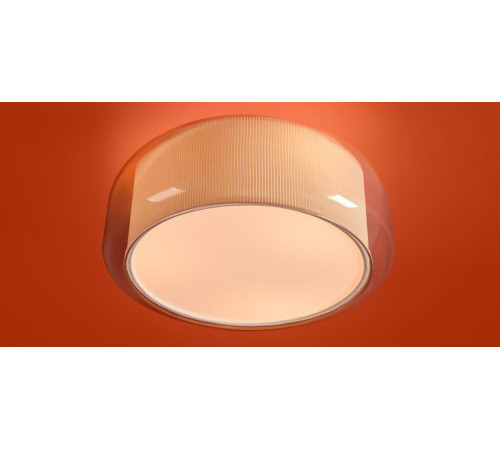 Потолочный светильник Freya Riflesso FR2055CL-03CH