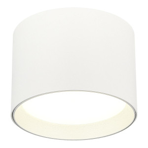 Потолочный светильник ST Luce  ST163.502.01.02