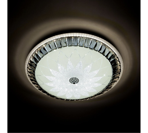 Потолочный светильник LED4U L1159-500 CR