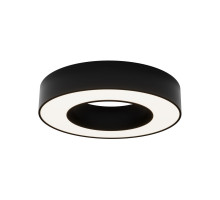 Потолочный светильник Maytoni Lua C093CL-24W4K-B