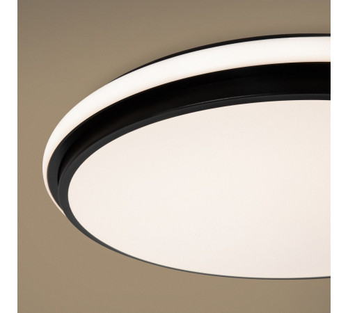Потолочный светильник Freya Pie FR6086CL-L117B