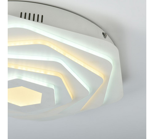 Потолочный светодиодный светильник F-Promo Ledolution 2289-5C