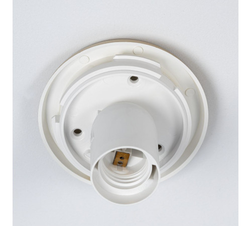 Потолочный светильник Citilux Ron CL941D20B2