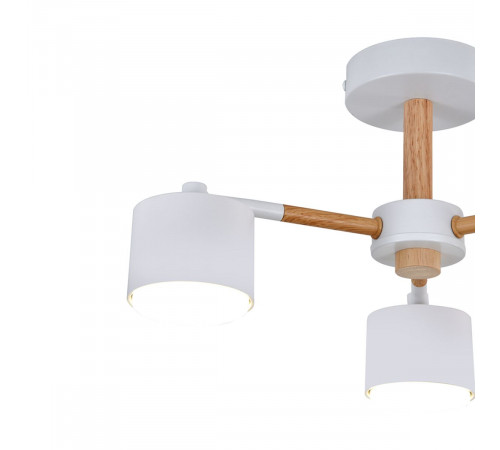 Потолочный светильник Escada Lyse ES0000022L