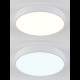Потолочный светильник Natali Kovaltseva LED LAMPS 81111/5C