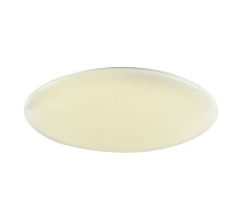 Потолочный светодиодный светильник F-Promo Luna 2319-10C