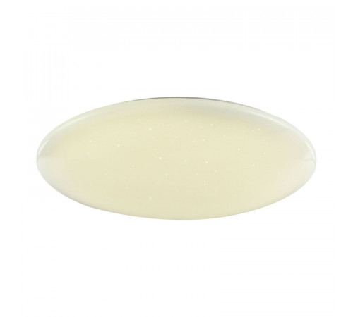 Потолочный светодиодный светильник F-Promo Luna 2319-10C