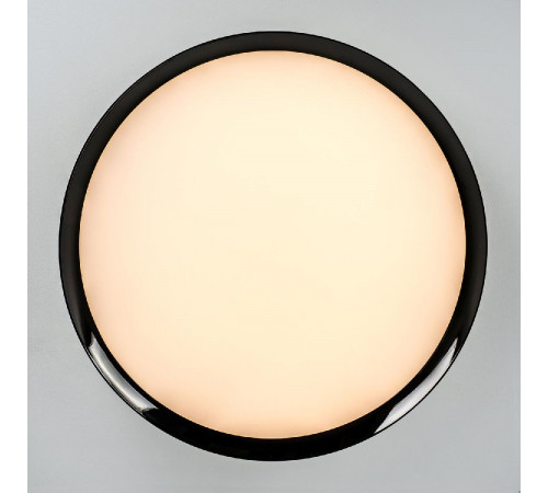 Потолочный светильник LED4U L3020-500 BK Потолочный светильник LED4U L3020-500 BK
