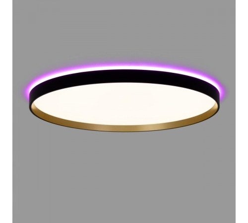 Потолочный светильник Citilux Etalon CL750501R