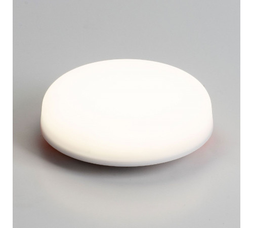 Потолочный светильник LEDtrec LT307-100 Потолочный светильник LEDtrec LT307-100