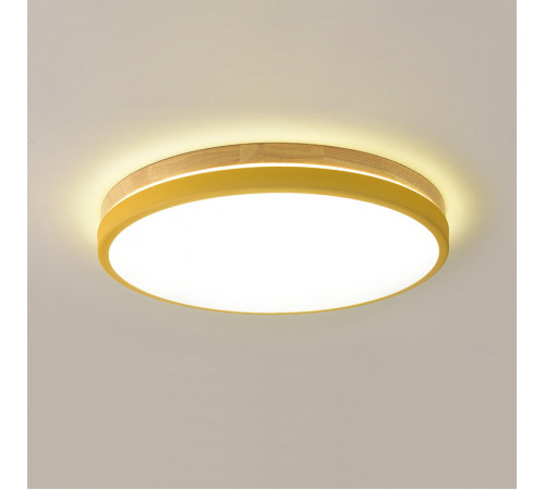 Потолочный светильник ImperiumLoft Disc Dh 189900-26