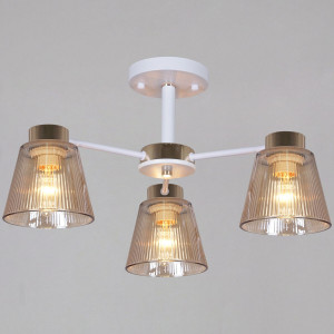 Потолочный светильник Reluce 20560-0.3-03 WH+FG